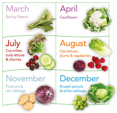 Seasonal Ingredients: Why They Matter and How to Incorporate Them into Your Meals