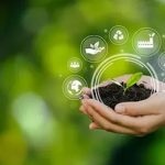 Small Changes, Big Impact: Green Tips to Live a More Sustainable Life