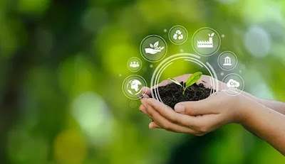 Small Changes, Big Impact: Green Tips to Live a More Sustainable Life
