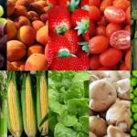 Seasonal Ingredients: Why Eating with the Seasons is Better for You and the Planet