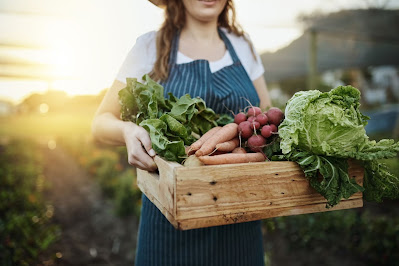 Sustainable Cooking: A Guide to Eco-Friendly Culinary Practices