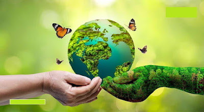Sustainable Ramadan Practices: Reflecting on Faith and Environmental Responsibility