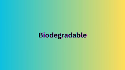 What is Biodegradable and How Do I Pronounce It?