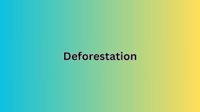 What is Deforestation and How Do I Pronounce It?