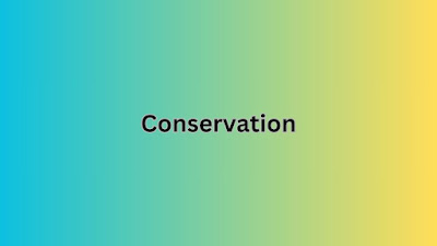 What is Conservation and How Do I Pronounce It?