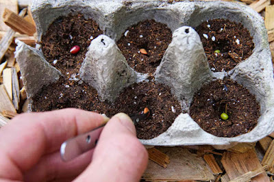 Ways to Upcycle Everyday Items