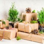 Eco-Friendly Christmas Gifts: Sustainable Ideas for Your Loved Ones