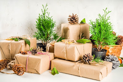 Eco-Friendly Christmas Gifts: Sustainable Ideas for Your Loved Ones