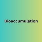 What is Bioaccumulation and How Do I Pronounce It?