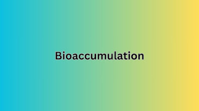 What is Bioaccumulation and How Do I Pronounce It?