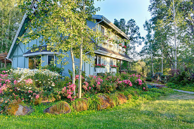 The Benefits of a Minimalist Garden