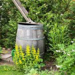 How to Use Spring Rainwater for Sustainable Gardening