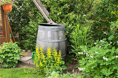 How to Use Spring Rainwater for Sustainable Gardening