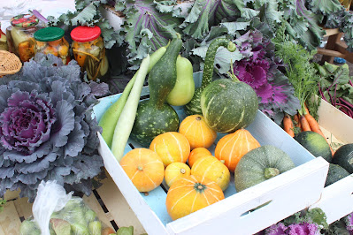 How to Start a Spring Garden for Organic Vegetables and Herbs