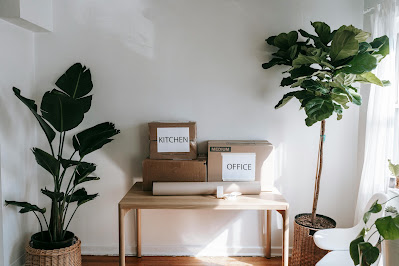 Eco-Friendly Moving Tips: How to Have a Sustainable Relocation
