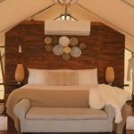 Sustainable Living Tips for Renters: Going Green Without Renovations