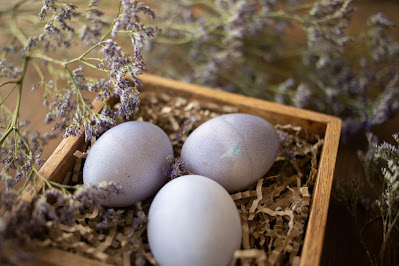 How to Plan a Zero-Waste Easter Egg Hunt