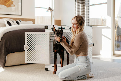 How to Create a Sustainable Pet Care Routine