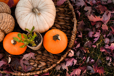 How to Harvest and Preserve Seasonal Produce in the Fall