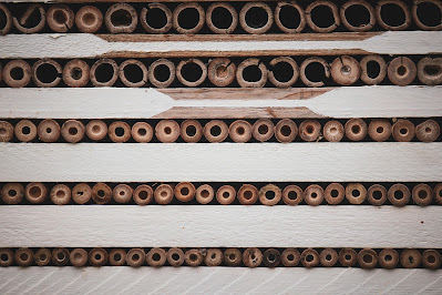 How to Choose Eco-Friendly Building Materials