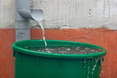 How to Build a Rainwater Collection System: A Simple Guide to Sustainable Water Use 🌧️🌱