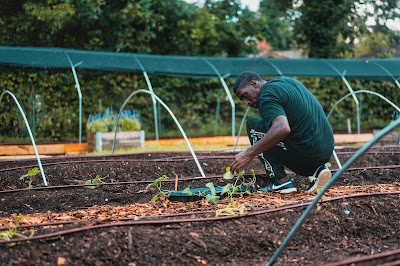 How to Start a Community Garden