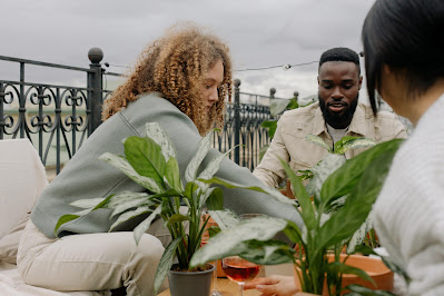 How to Start a Sustainability Club at Your Workplace
