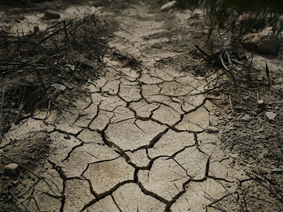 The Impact of Climate Change on Food Security