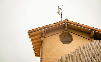 The Basics of Green Building Materials: A Sustainable Approach to Construction