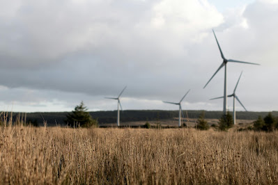The Role of Wind Energy in Home Sustainability