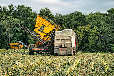 What Are the Environmental Impacts of Industrial Agriculture?